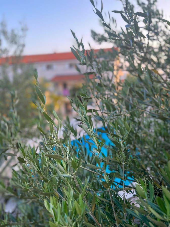 Apartments Villa Klaudia - Adults Only Crikvenica Dış mekan fotoğraf