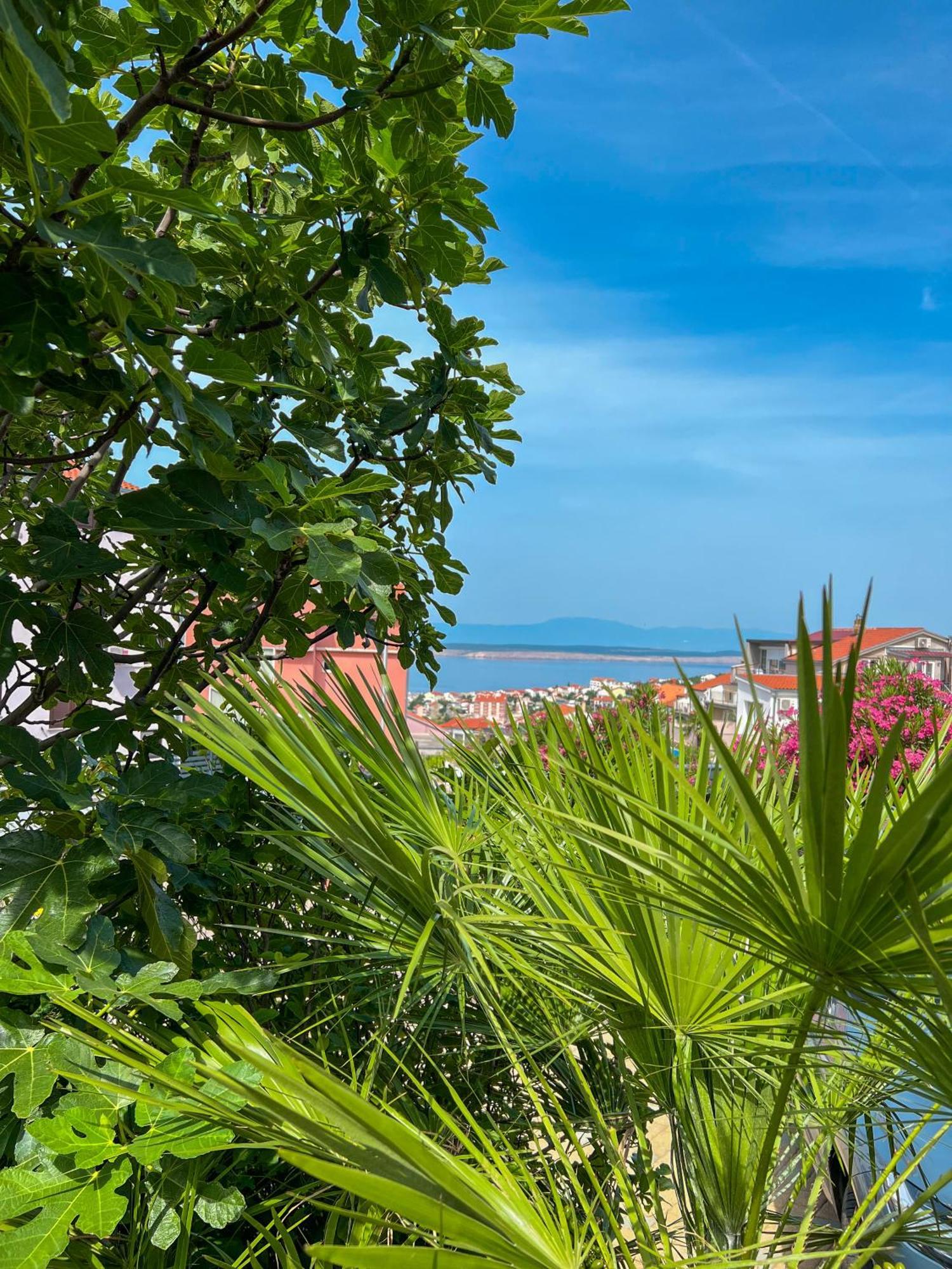 Apartments Villa Klaudia - Adults Only Crikvenica Dış mekan fotoğraf