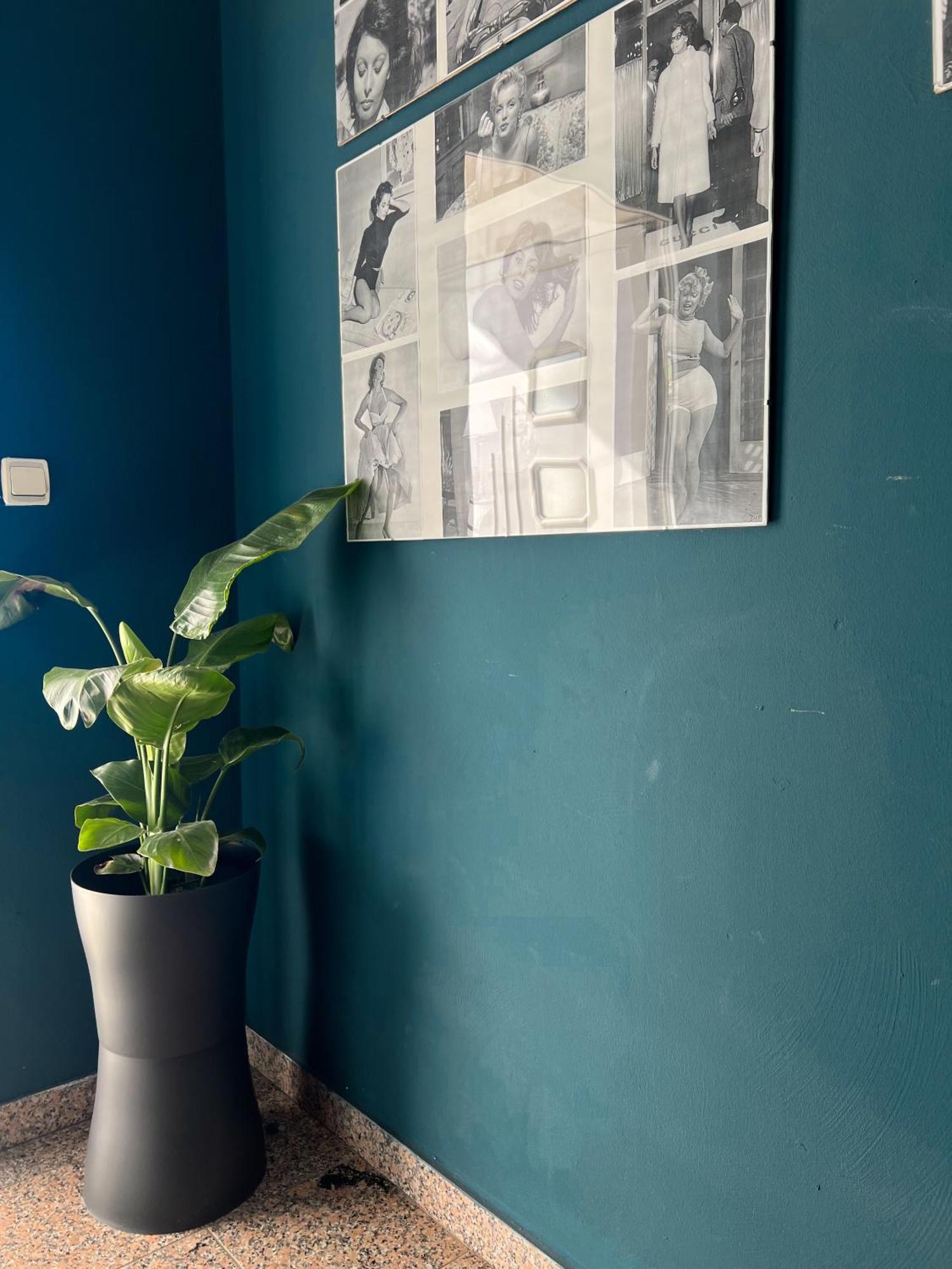 Apartments Villa Klaudia - Adults Only Crikvenica Dış mekan fotoğraf